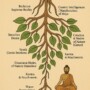 The Tree of Samsara